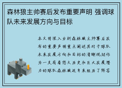 森林狼主帅赛后发布重要声明 强调球队未来发展方向与目标