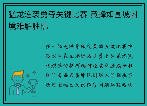 猛龙逆袭勇夺关键比赛 黄蜂如围城困境难解胜机